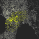 Imagen para el artículo titulado El mapa de los lugares con más selfies del mundo